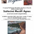 Szélesiné Mezőfi Ágnes  sárvári festő műveiből válogatott kiállítás